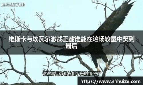 U8国际有限公司